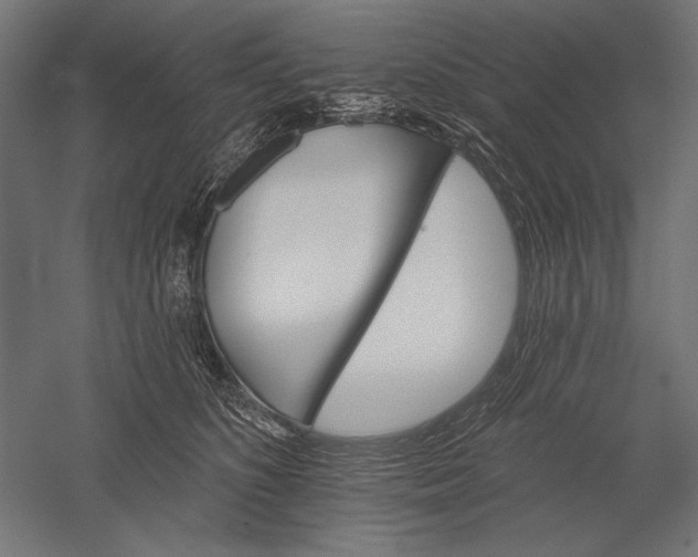 X0000051260516200507011722