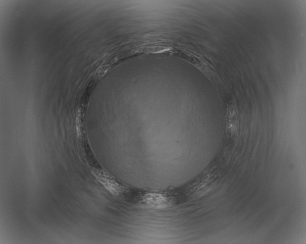 X0000051260519200507011722