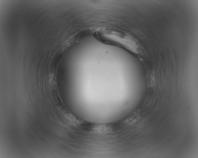 X0000051260521200507011722