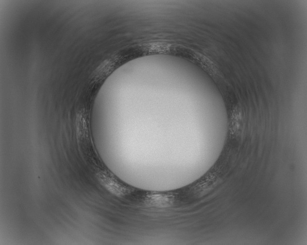 X0000051260522200507011722