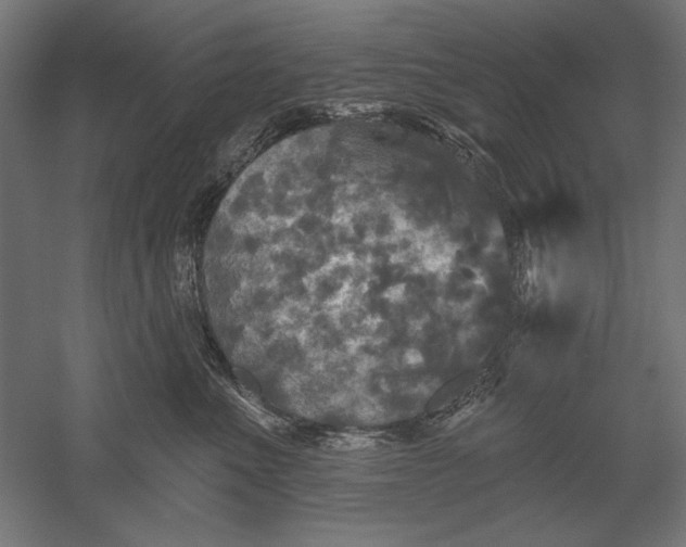 X0000051260523200507011722