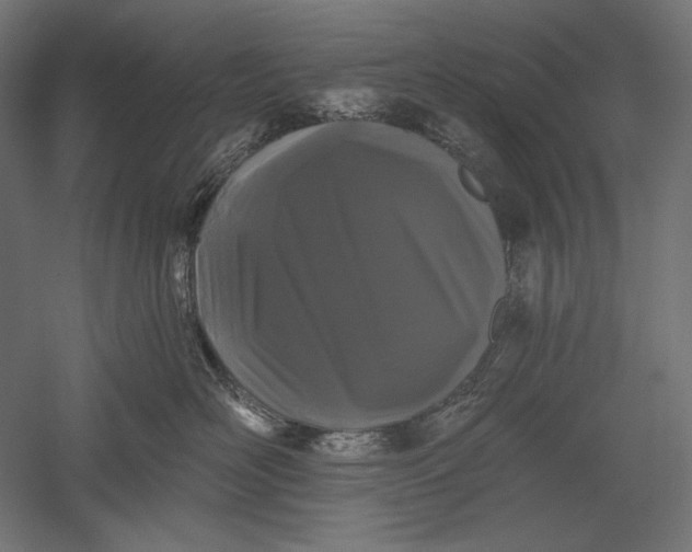 X0000051260526200507011722