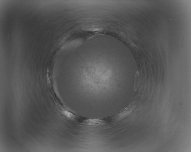 X0000051260528200507011722