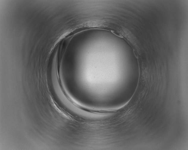 X0000051260530200507011721