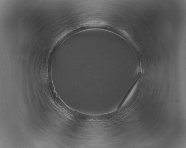 X0000051260531200507011721