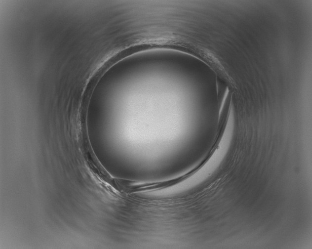 X0000051260532200507011721