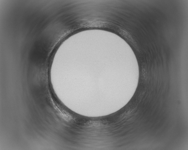 X0000051260534200507011721