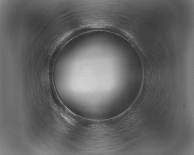 X0000051260535200507011721