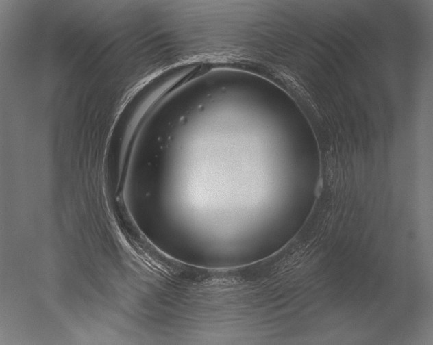 X0000051260536200507011721