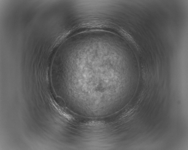 X0000051260537200507011721