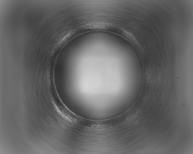 X0000051260538200507011721