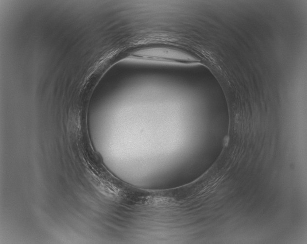 X0000051260539200507011721