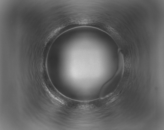 X0000051260540200507011721