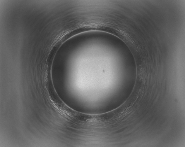 X0000051260544200507011721
