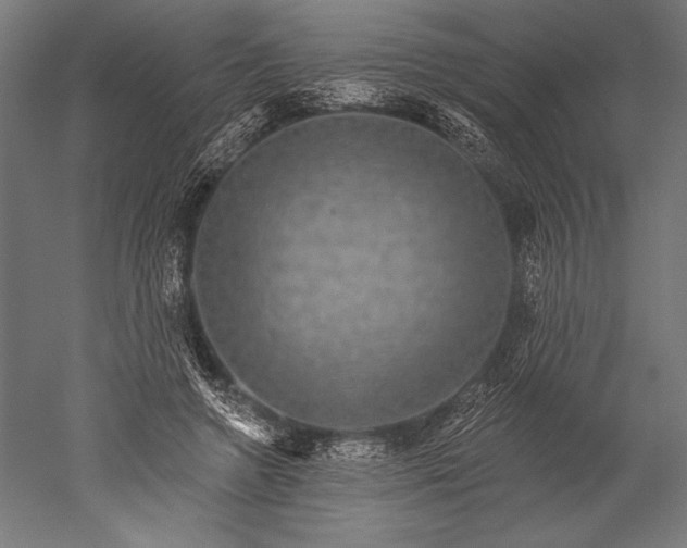 X0000051260546200507011721