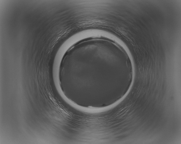 X0000051260547200507011721