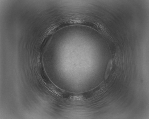 X0000051260548200507011721