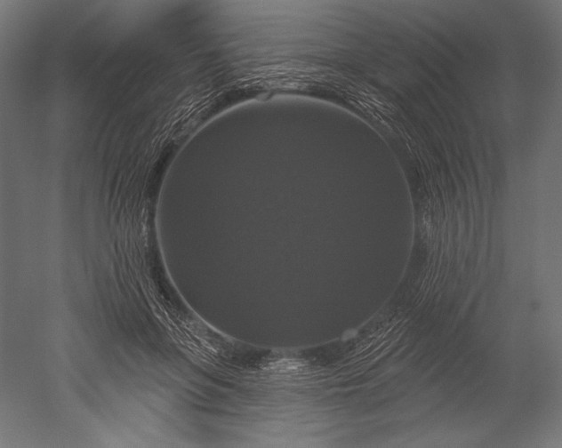 X0000051260551200507011721