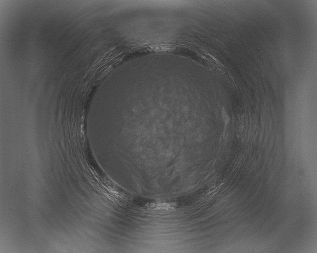 X0000051260553200507011721