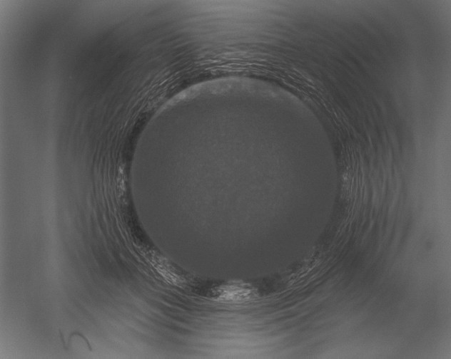 X0000051260555200507011721