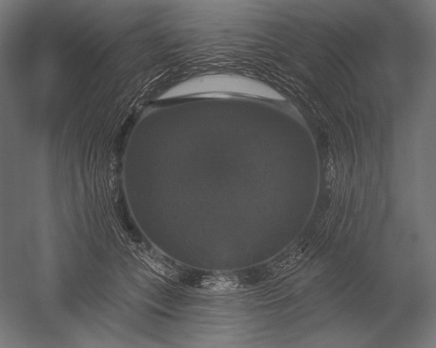 X0000051260559200507011721