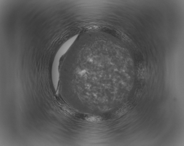 X0000051260561200507011721