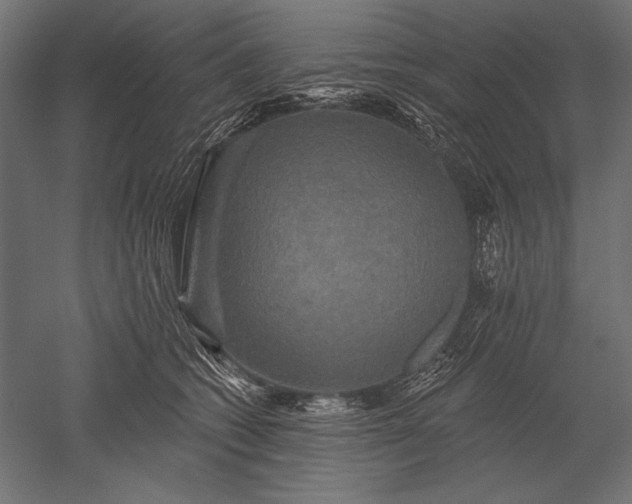 X0000051260562200507011721