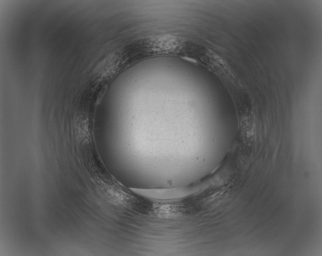 X0000051260564200507011721
