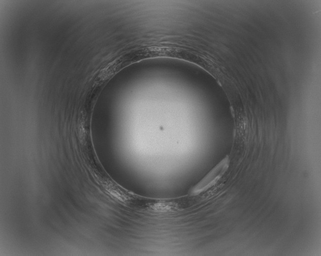 X0000051260566200507011721