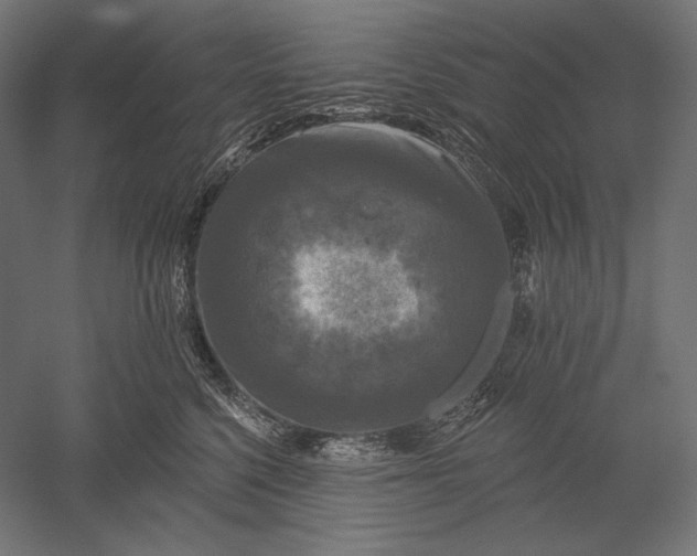 X0000051260568200507011721