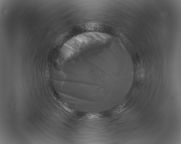 X0000051260569200507011721
