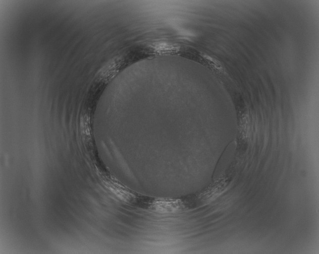 X0000051260571200507011722