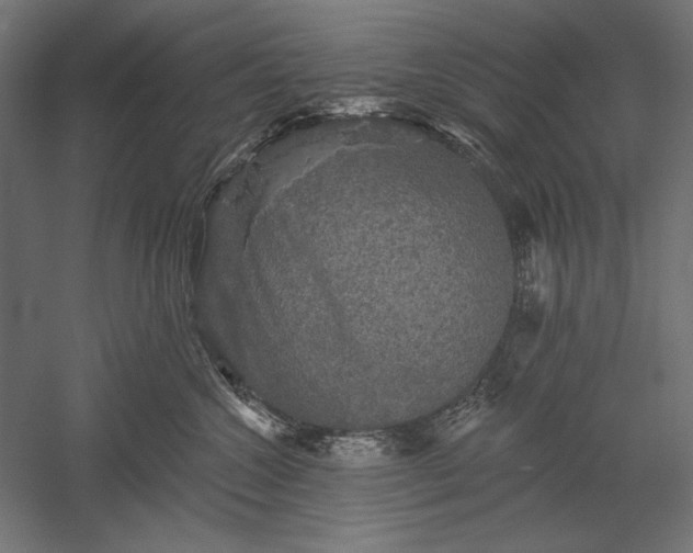 X0000051260572200507011722