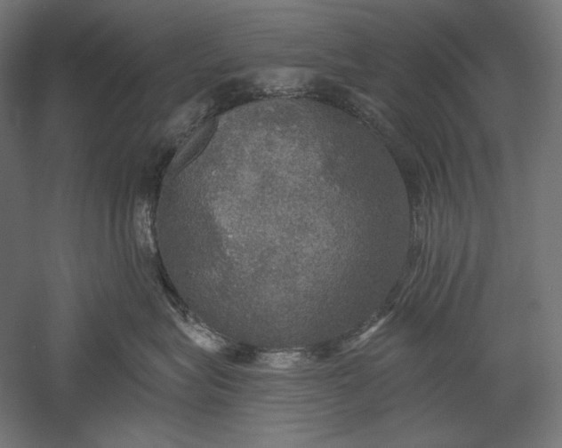 X0000051260575200507011722
