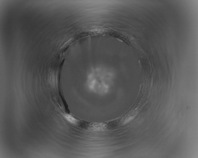 X0000051260576200507011722