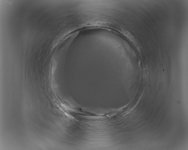 X0000051260577200507011721