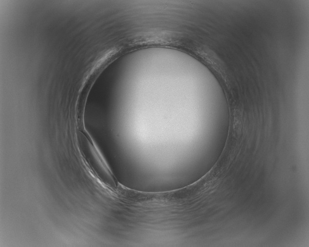 X0000051260578200507011721
