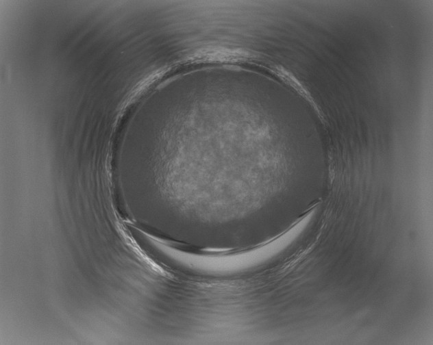 X0000051260581200507011721