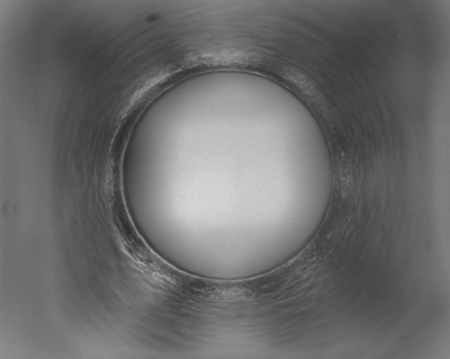 X0000051260583200507011721