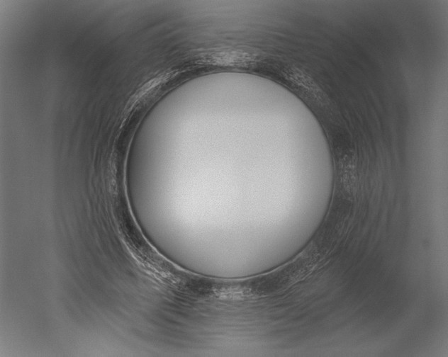 X0000051260587200507011721