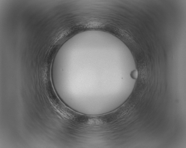 X0000051260591200507011721
