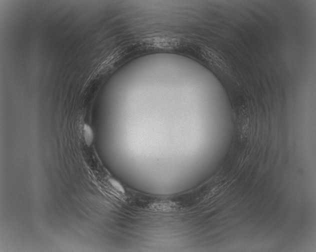 X0000051260595200507011720