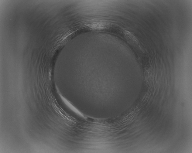 X0000051260596200507011720
