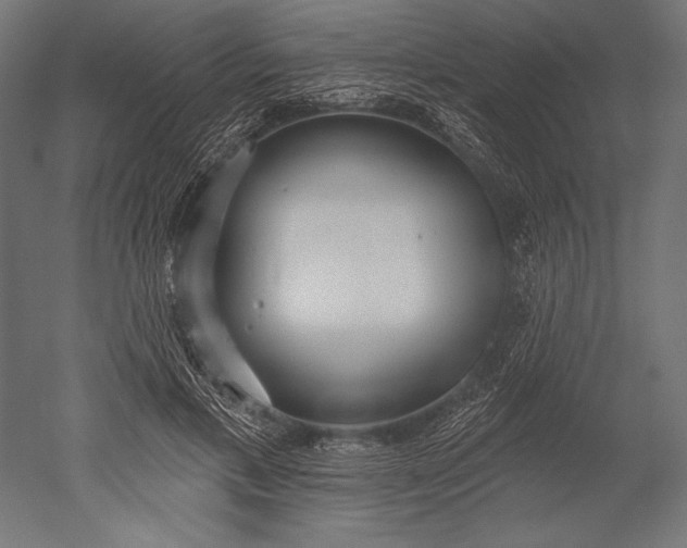 X0000051260597200507011720