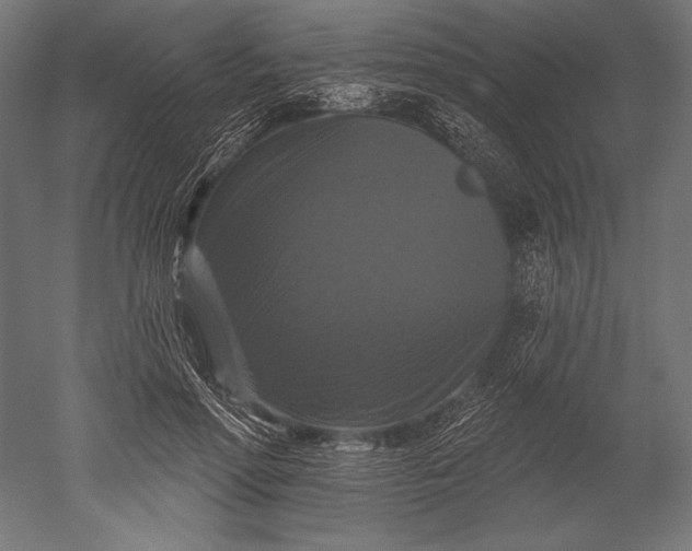 X0000051260598200507011720