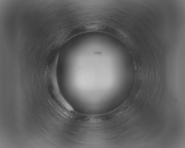 X0000051260601200507011720