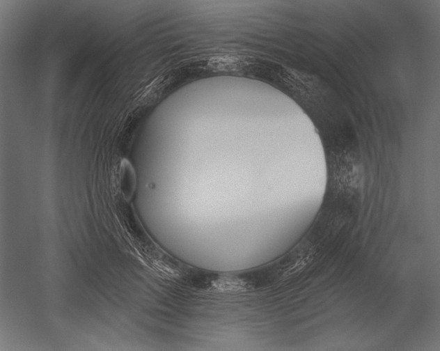 X0000051260603200507011720