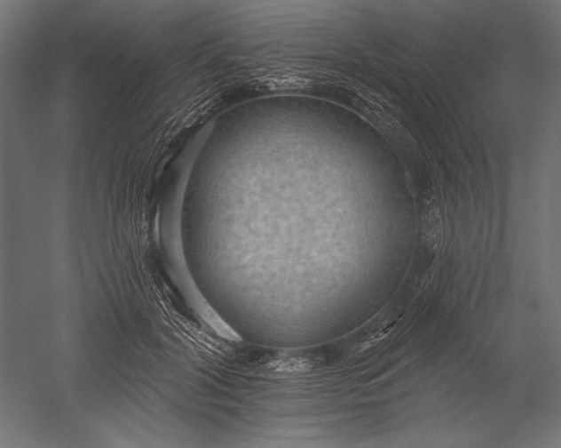 X0000051260604200507011720