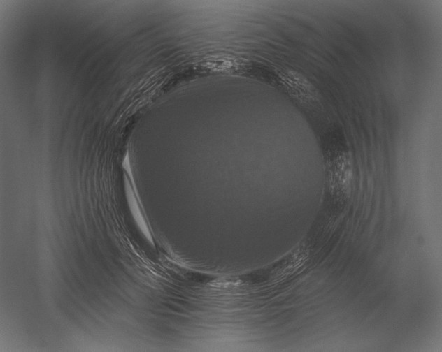 X0000051260606200507011720
