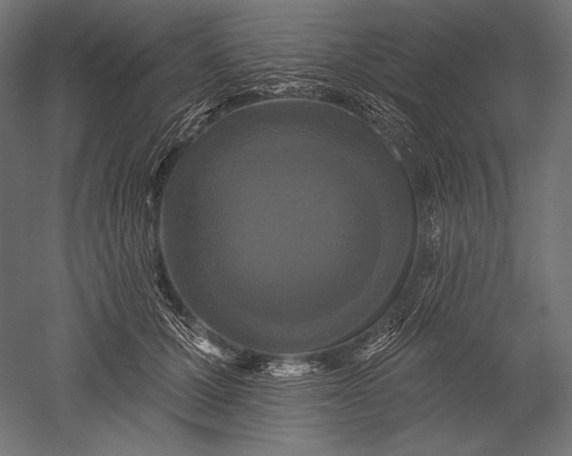 X0000051260607200507011720